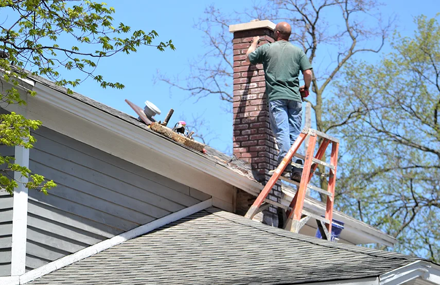 Chimney & Fireplace Inspections Services in Baton Rouge, LA